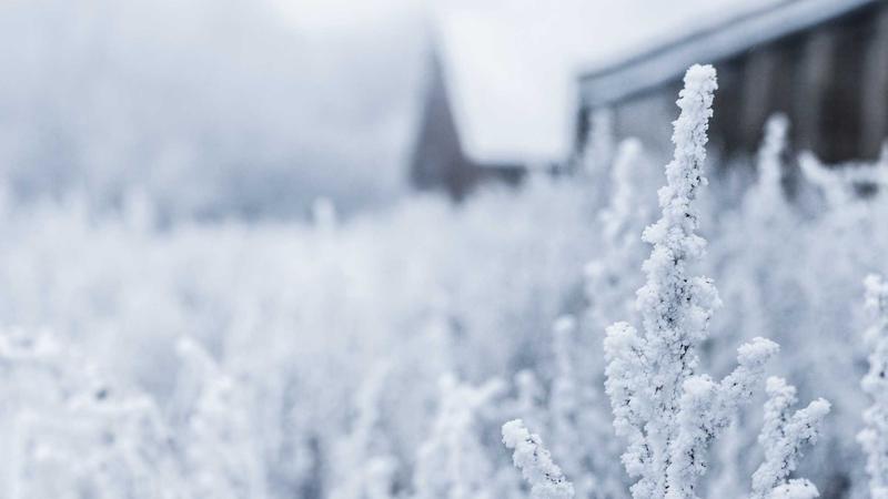 heiliaowang黑料网吃瓜现场全网热点追踪全景图